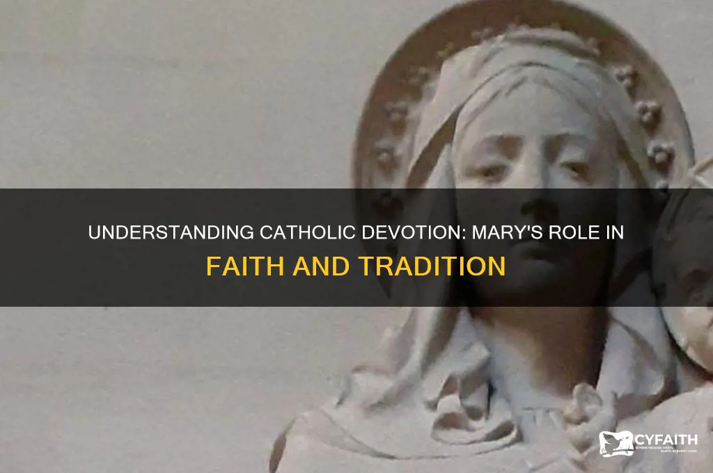 what do catholics belive about mary