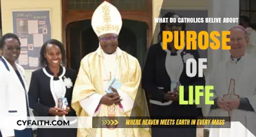 Understanding the Catholic Perspective on Life's Purpose and Meaning