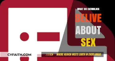 Catholic Teachings on Sex: Understanding the Church's Perspective
