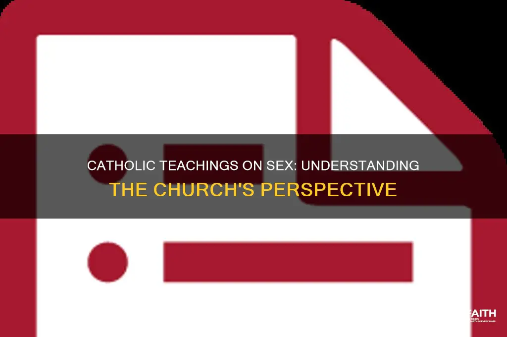 what do catholics belive about sex