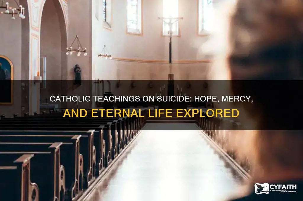 what do catholics belive about suicide