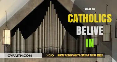 Understanding Core Catholic Beliefs: Faith, Sacraments, and Salvation Explained