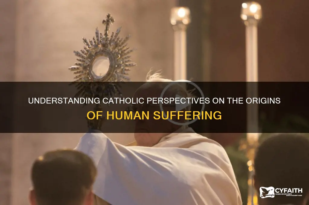 what do catholics belive is the cause of suffering