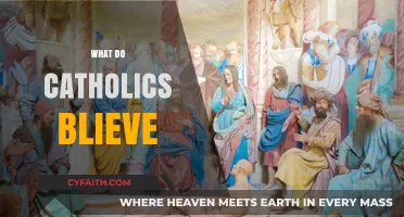Understanding Core Catholic Beliefs: Faith, Sacraments, and Salvation Explained