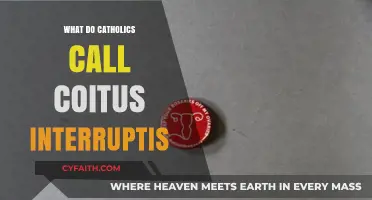 Understanding Catholic Terminology: Coitus Interruptus and Its Religious Context