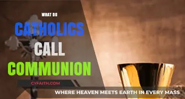 Understanding the Eucharist: What Catholics Call Communion Explained