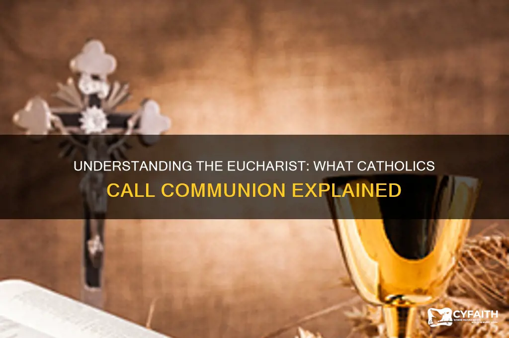 what do catholics call communion