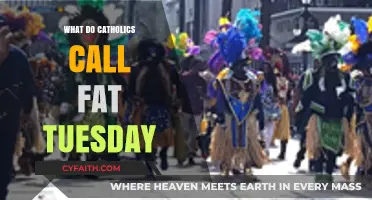 What Catholics Call Fat Tuesday: Exploring the Tradition of Mardi Gras