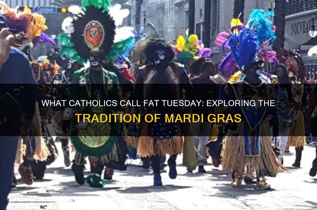 what do catholics call fat tuesday