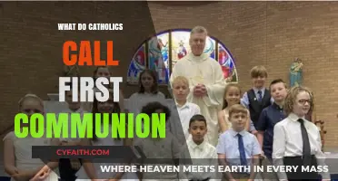 Understanding the Catholic Tradition: What Is First Communion Called?