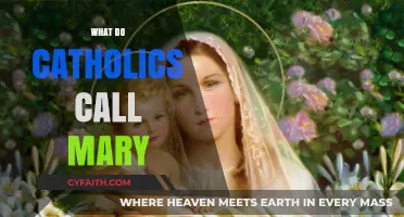 Understanding Mary's Titles: A Catholic Perspective on the Mother of God