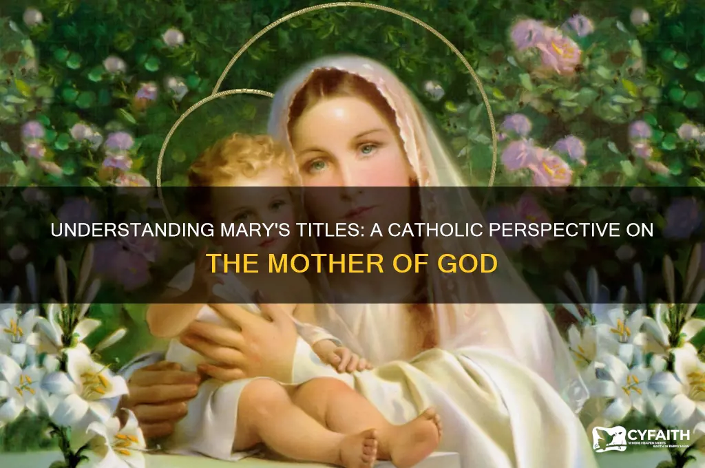 what do catholics call mary