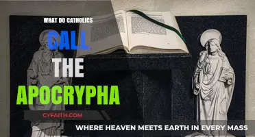 Understanding the Catholic View: What Are the Apocryphal Books Called?