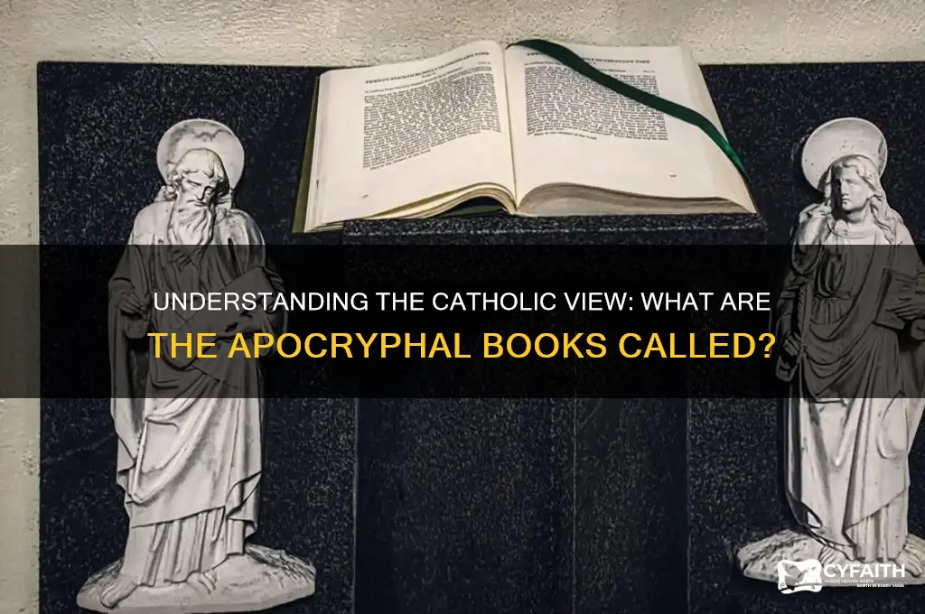 what do catholics call the apocrypha