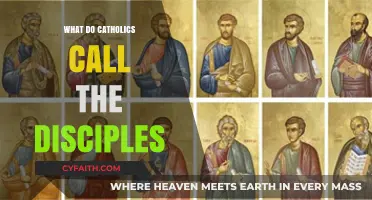 The Catholic Tradition: Honoring the Apostles as Holy Disciples