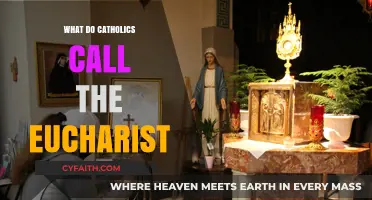 Understanding the Eucharist: What Catholics Call the Sacred Sacrament