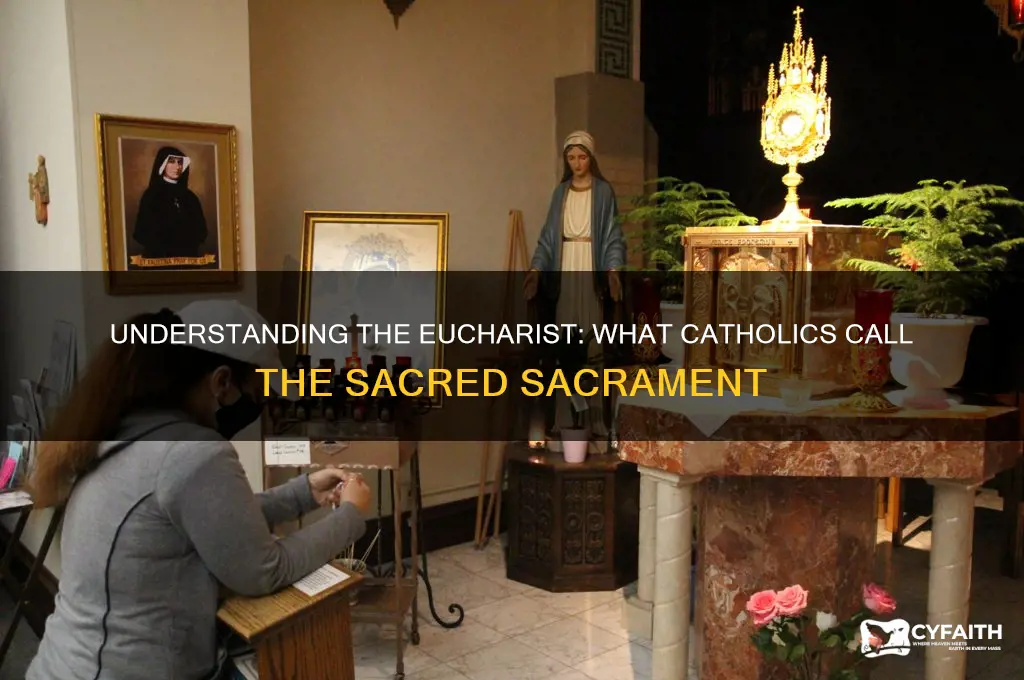 what do catholics call the eucharist