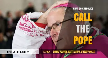 Understanding the Pope's Titles: A Catholic Perspective on Papal Nomenclature