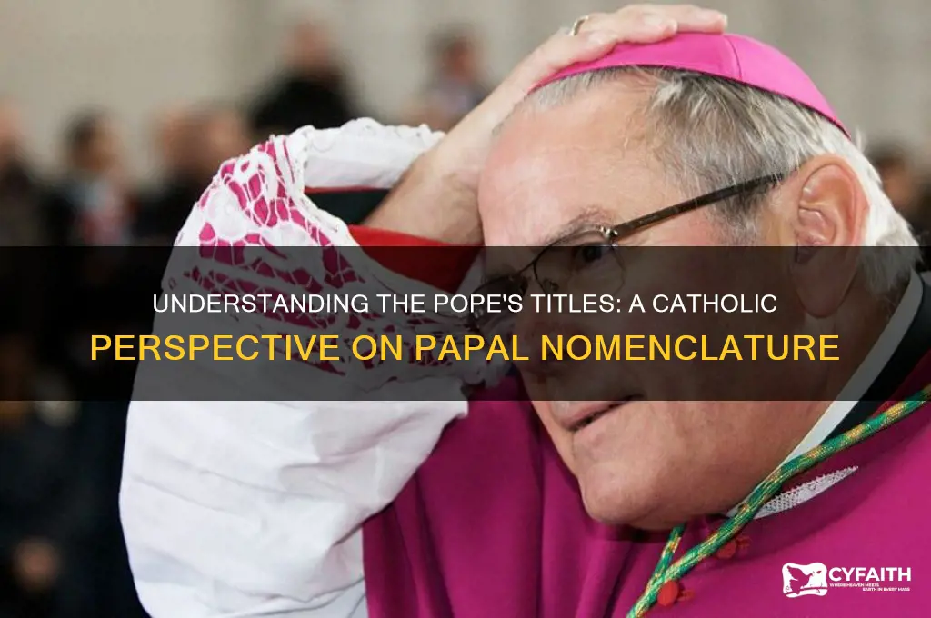 what do catholics call the pope