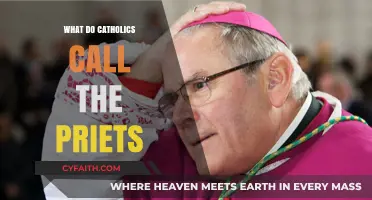 Understanding the Catholic Clergy: What Do Catholics Call Their Priests?