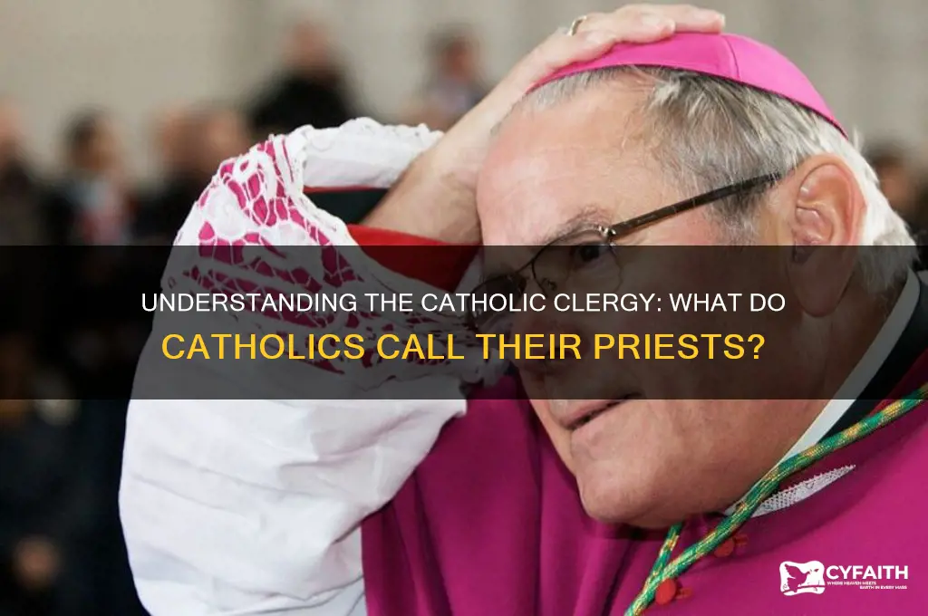 what do catholics call the priets