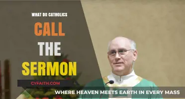 Understanding the Catholic Homily: What's the Sermon Called in Mass?