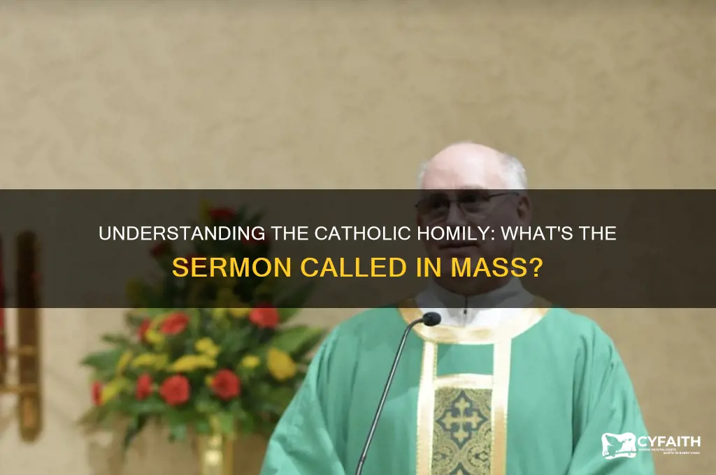 what do catholics call the sermon