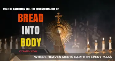 The Eucharist: Understanding Catholics' Sacred Bread-to-Body Transformation