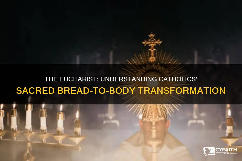 what do catholics call the transformation of bread into body
