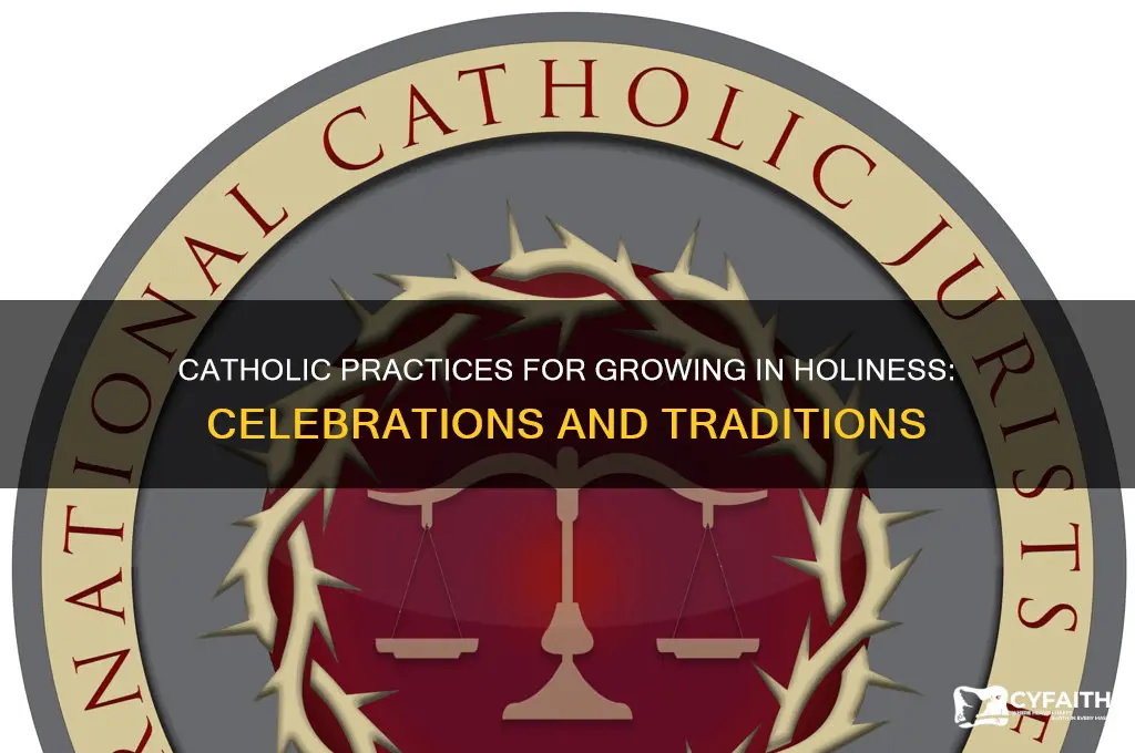 what do catholics celebrate to grow in holliness