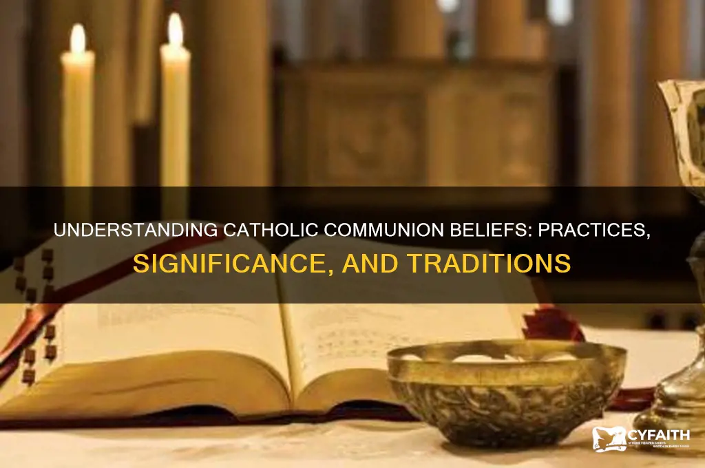 what do catholics communions beleifs