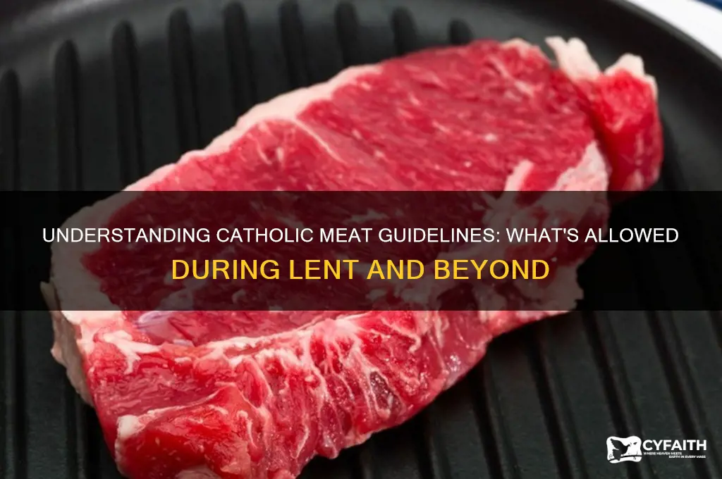 what do catholics consider meat