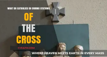 Understanding Catholic Devotion: The Stations of the Cross Explained