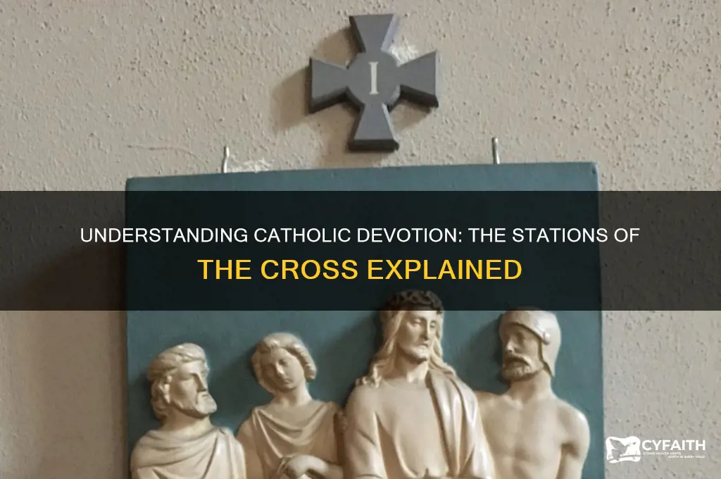what do catholics do during stations of the cross