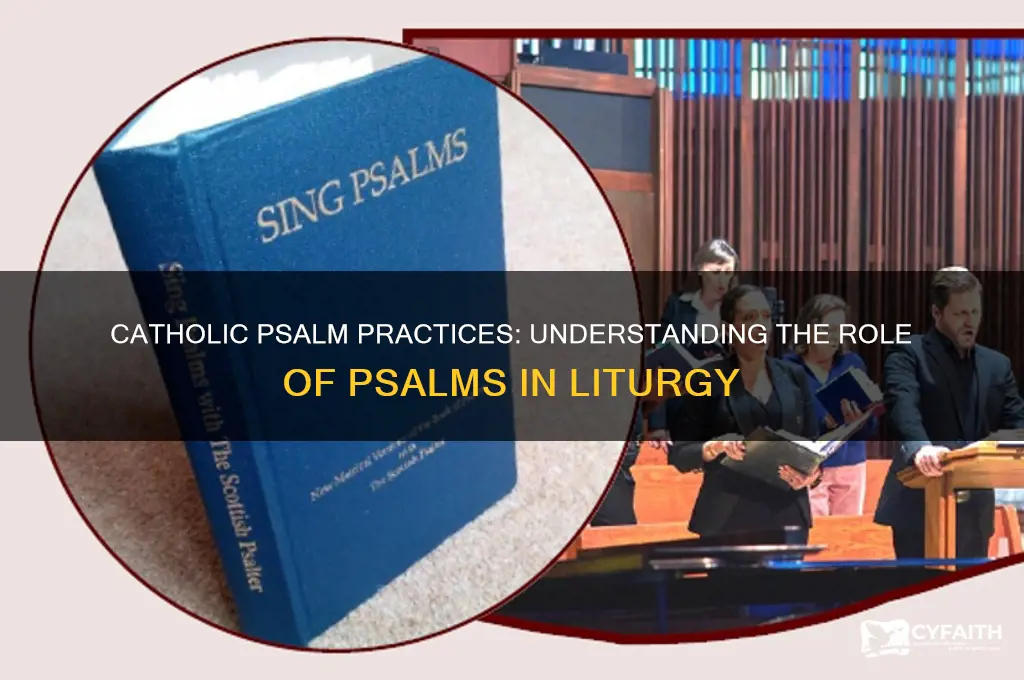 what do catholics do for the reading of the psalm