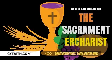 Understanding the Catholic Celebration of the Sacrament of Eucharist