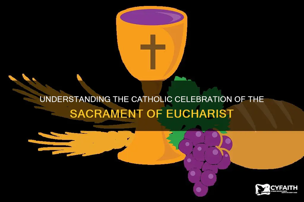 what do catholics do for the sacrament ercharist
