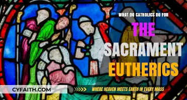 Understanding the Catholic Practice of Anointing the Sick: Sacrament of Healing