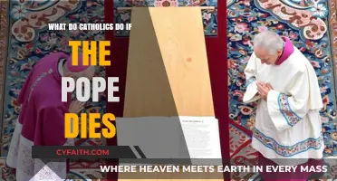 Pope's Passing: Catholic Traditions and Procedures Explained