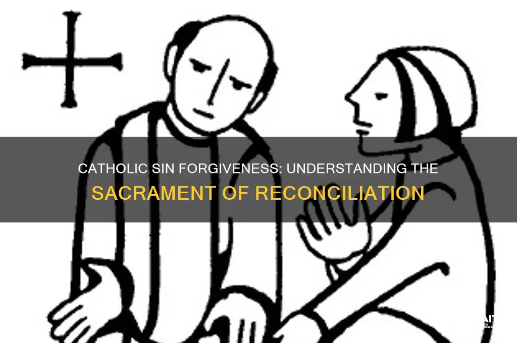 what do catholics do in to get their sin forgiven