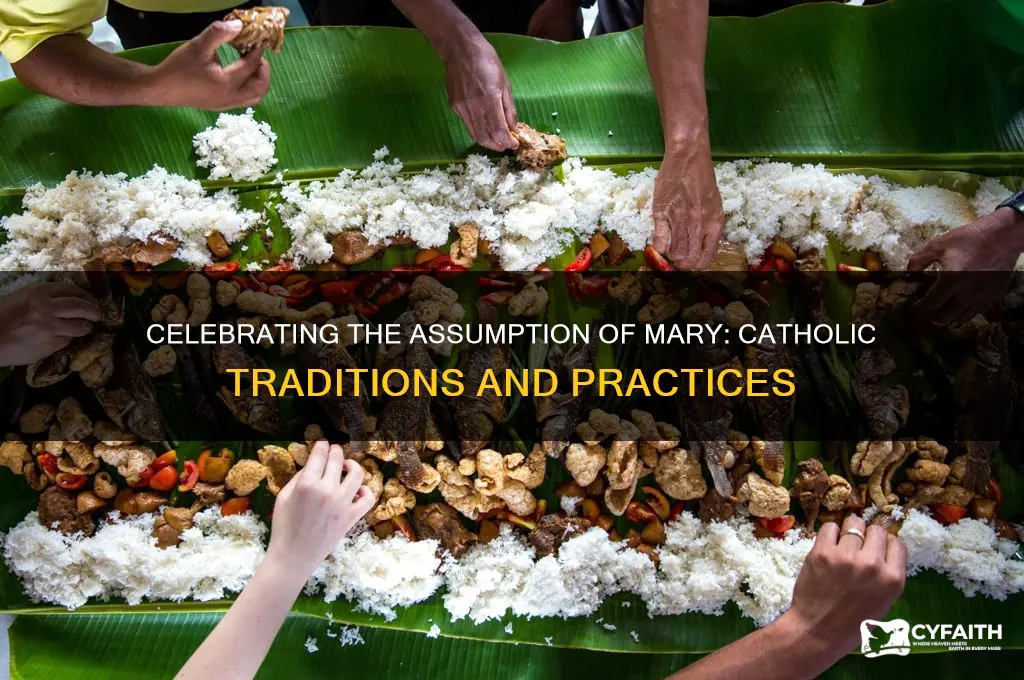 what do catholics do on assumption of mary