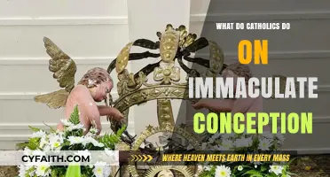 Immaculate Conception: Catholic Traditions and Celebrations Explained