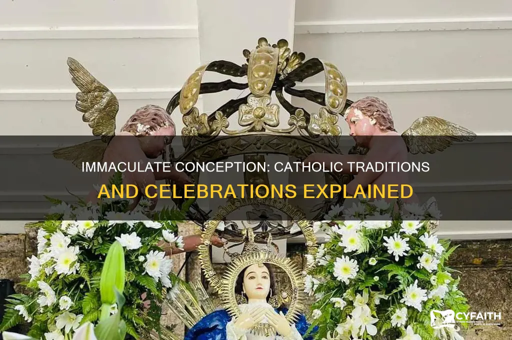 what do catholics do on immaculate conception