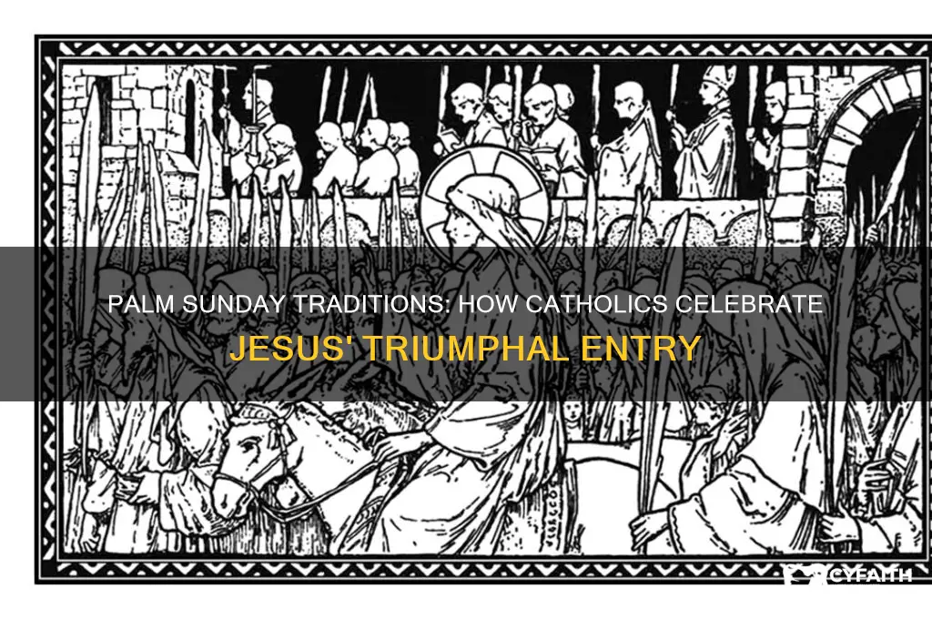 what do catholics do on palm sunday