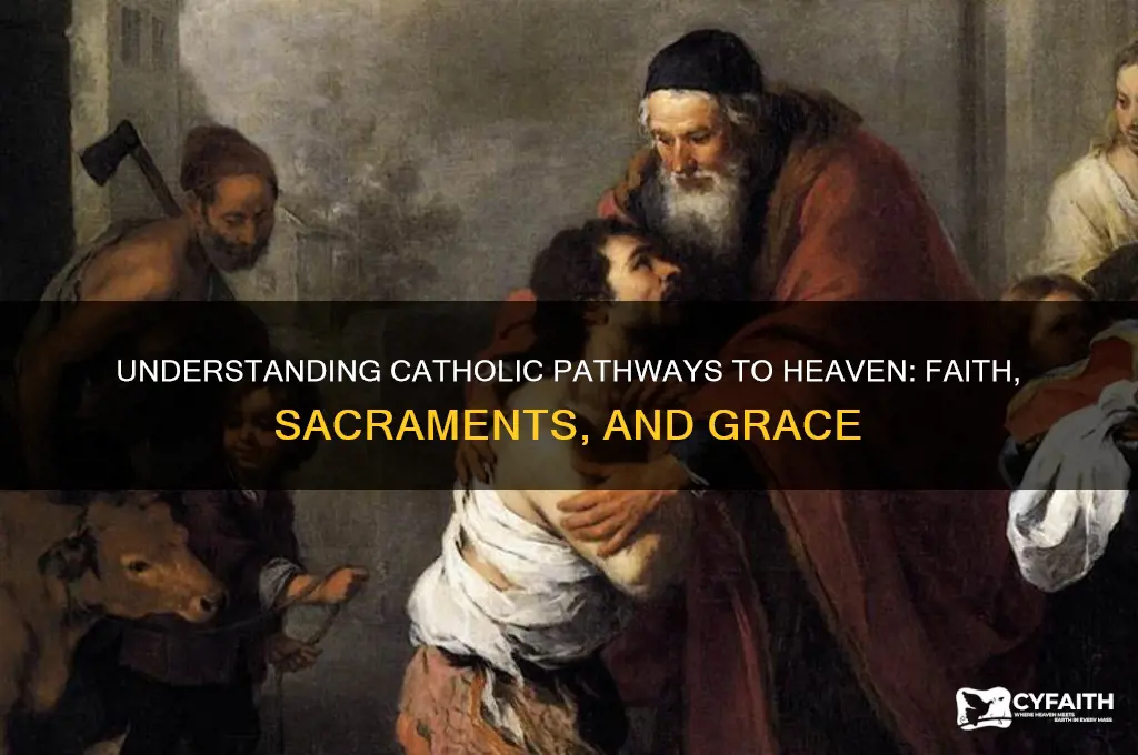 what do catholics do to get into heaven