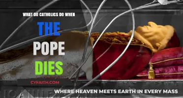 Catholics' Next Steps: When the Pope Dies