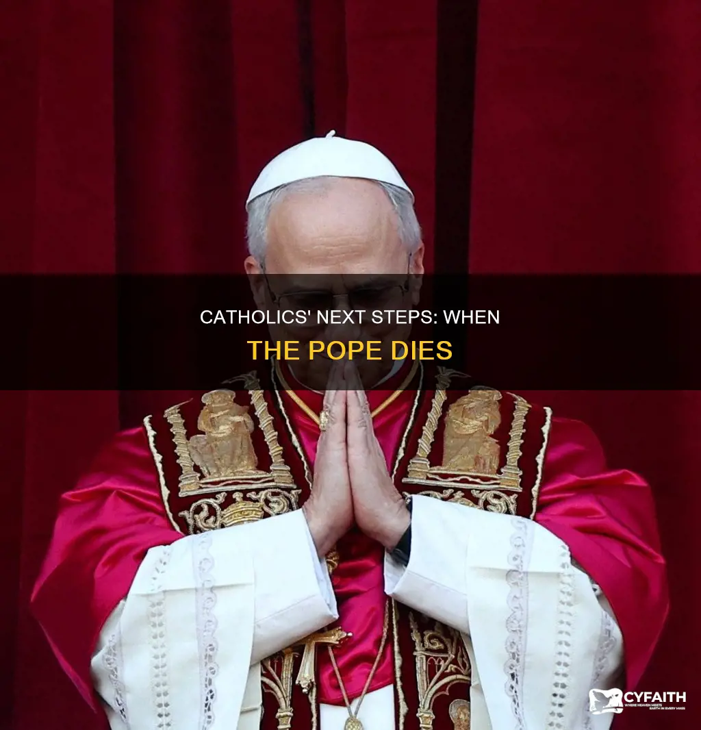what do catholics do when the pope dies
