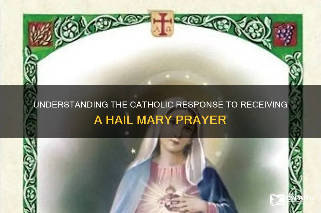 what do catholics do when they get a hail mary