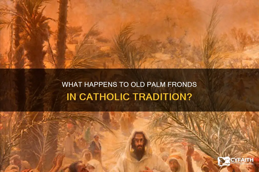 what do catholics do with old palms