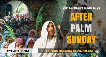 Preserving Palm Sunday Blessings: Catholic Traditions for Holy Palms Post-Service